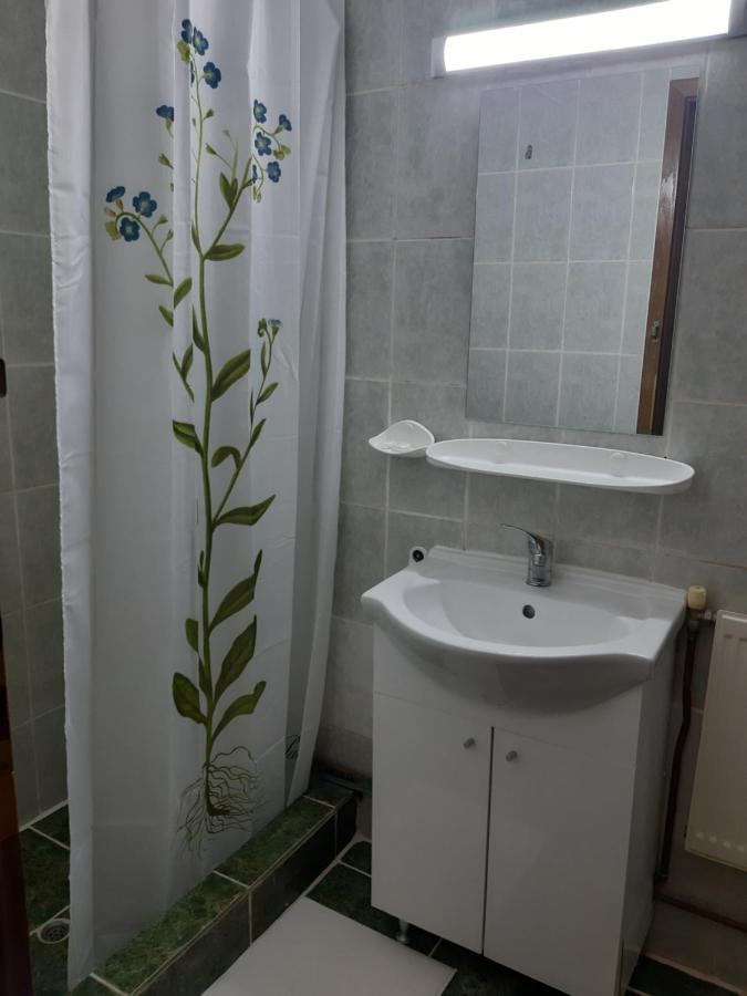 Casablanca Hostel Craiova Bagian luar foto