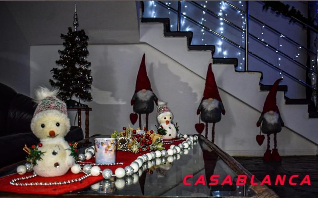 Casablanca Hostel Craiova Bagian luar foto